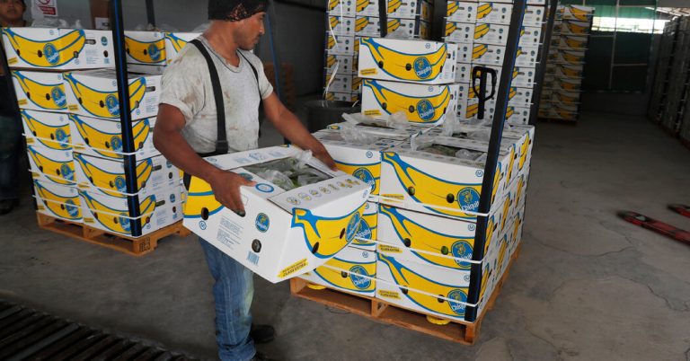 Chiquita Banana blamed for paramilitary killings during Colombia's civil war