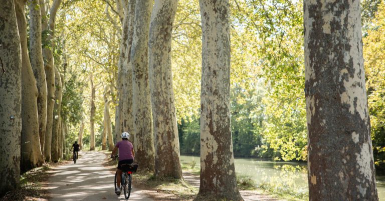 Cycling in the South of France and History