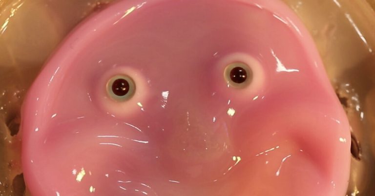 Robots get a fleshy face (and a smile) in New Research