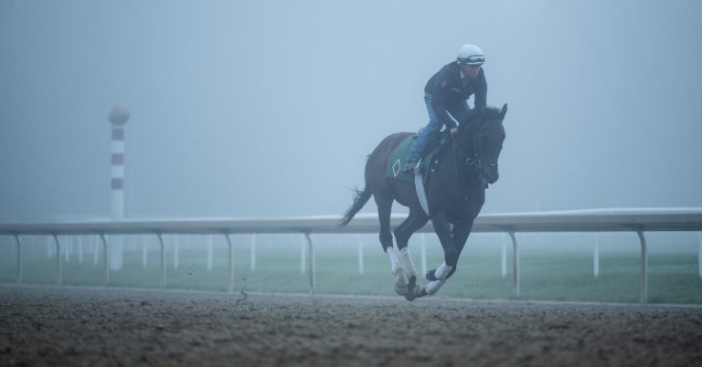 See Photos from inside the 2024 Belmont Stakes