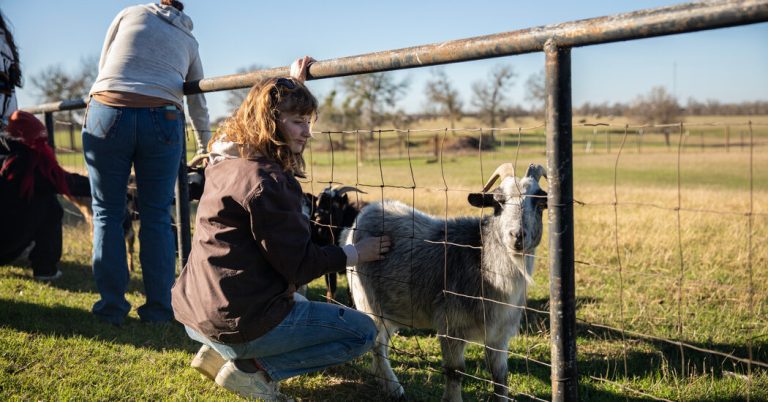 Kennedy's Plan for the Drug Crisis: A Network of "Therapeutic Farms"