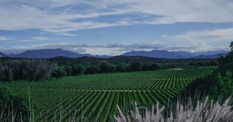 Bolivia wine country is Tuscany with one side of magic