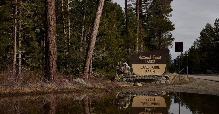 Government cuts of budget and staff could close facilities in the national forests of California, says the note