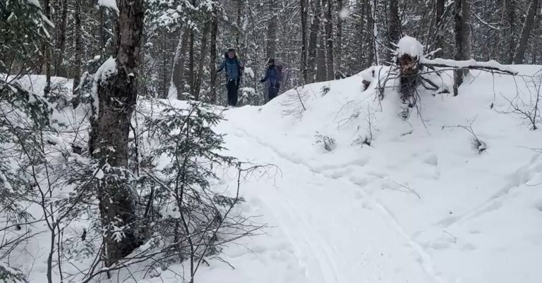 Snowy Trails, Cozy Inns: Skiing Town in City in Quebec