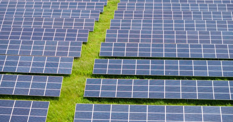 Solar energy criticized by Trump claims that the big US profit in 2024